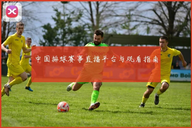 中国排球赛事直播平台与观看指南