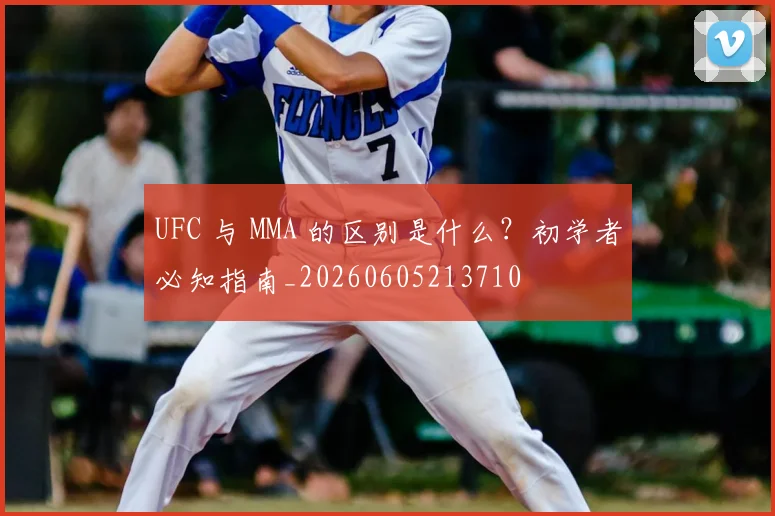 UFC 与 MMA 的区别是什么?初学者必知指南_20260605213710