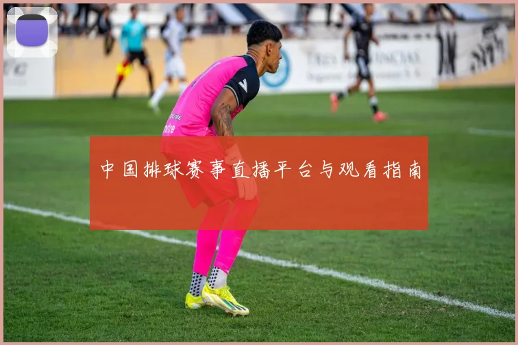 中国排球赛事直播平台与观看指南